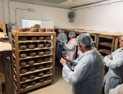 La Pecora di Massimiliano – Produzione